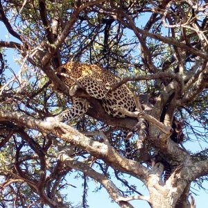 8 Days Lake Turkana Festival Safari Via Chalbi Desert