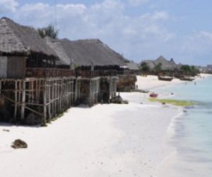 7 Days (six Nights) Mombasa Island expedition