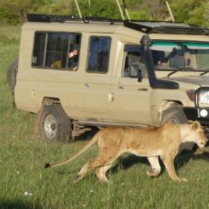 4 Days Tsavo East, Tsavo West and South Coast (Diani) vacation