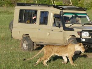 14 Days Best of Kenya, Tanzania and Zanzibar Safari