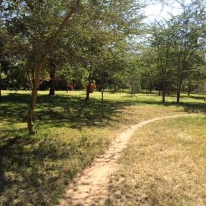 nature walks