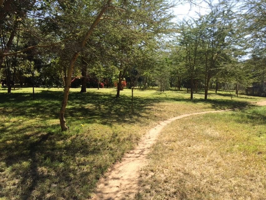 nature walks