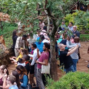 Nairobi full day private Excursion