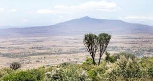 Mount Longonot and Lake Naivasha day tour
