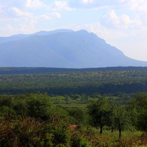 4 Days Mount Elgon Trekking Safari