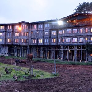 10 Days wildlife photography safari in Kenya