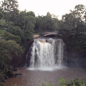 5 Days Aberdares Trip