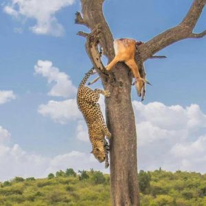 6 Days Mission Tour In Kenya